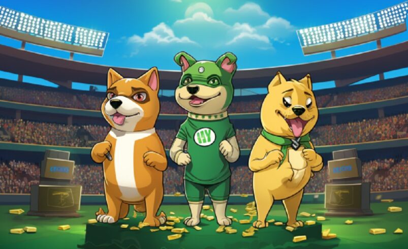 Dogecoin, SHIB, Or PEPE: Which MemeCoin Offers The Most Gains For Investors?